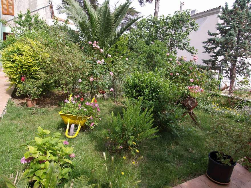 Arsenio 2 - Veli Lošinj