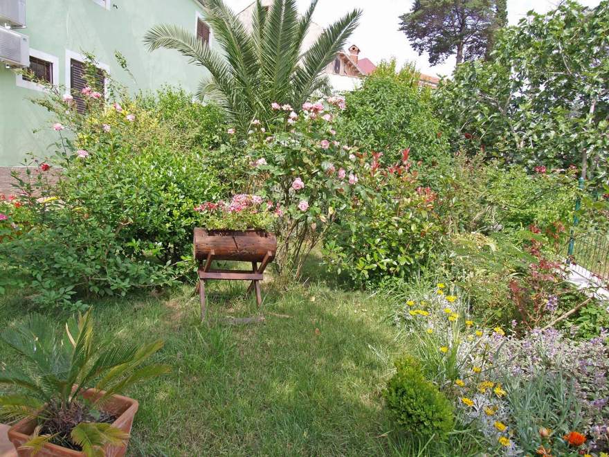 Arsenio 2 - Veli Lošinj