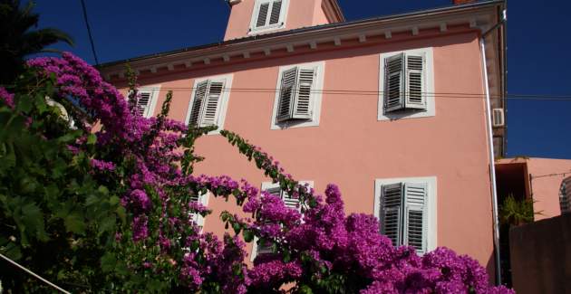 Apartment Ivan 1 - Mali Losinj, Croatia