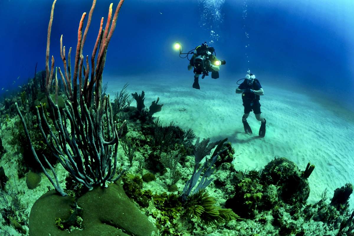Diving - Mediteran Lošinj