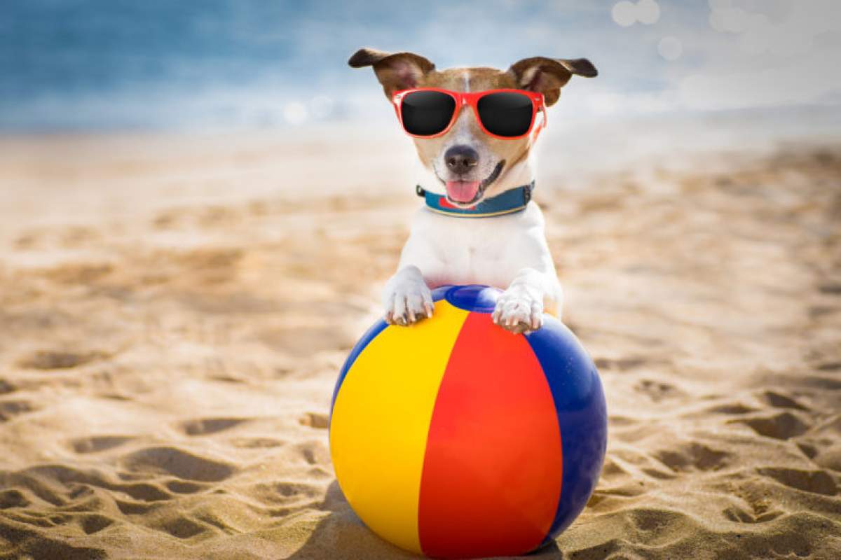 spiagge per cani - Mediteran Lussino