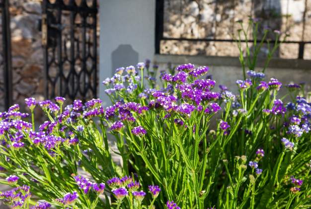 Ferienwohnungen Flora 1 - Mali Losinj, Kroatien