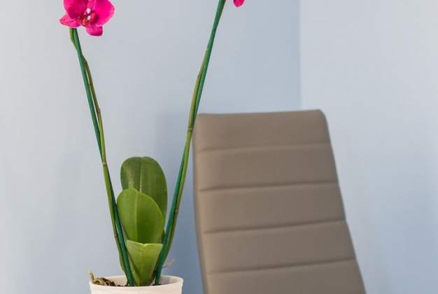 Apartment Leon 1 modern choice for 2 to 4 people in Kadin, Mali Lošinj