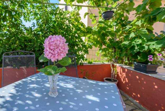 Ferienwohnungen Aleks 1 gelegen einem attraktiven Standort umgeben Blumen Apartment für 2 Persone.