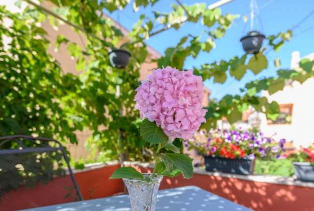 Ferienwohnungen Aleks 1 gelegen einem attraktiven Standort umgeben Blumen Apartment für 2 Persone.