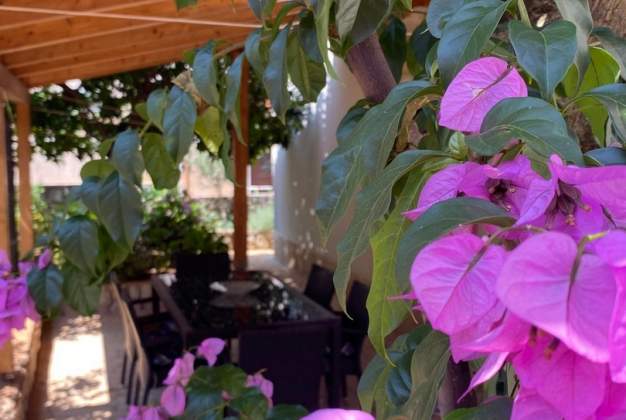 Ferienwohnung Maris 2 komfortable Familienunterkunft in Mali Lošinj