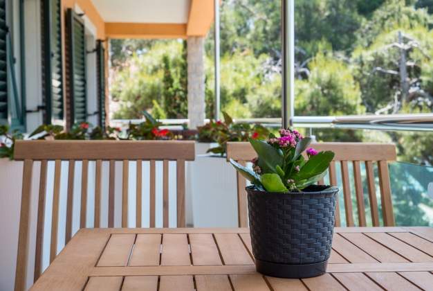 Apartment Lavanda with a view for three people in Poljana, Mali Lošinj
