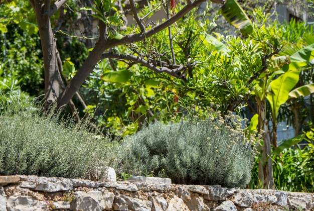 Apartment Lavanda with a view for three people in Poljana, Mali Lošinj