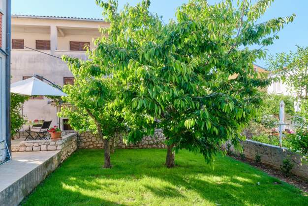 Apartment Nika 2, peaceful stay just steps from the sea in Mali Lošinj