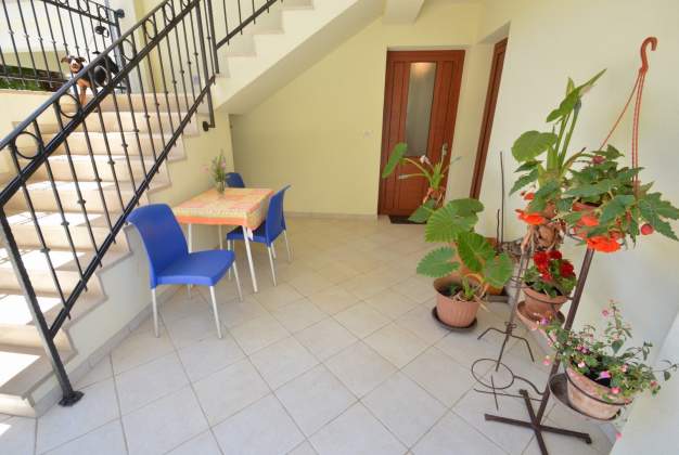 Apartman Oskar 2 - Studio 100m from the beach in Privlaka, Mali Losinj