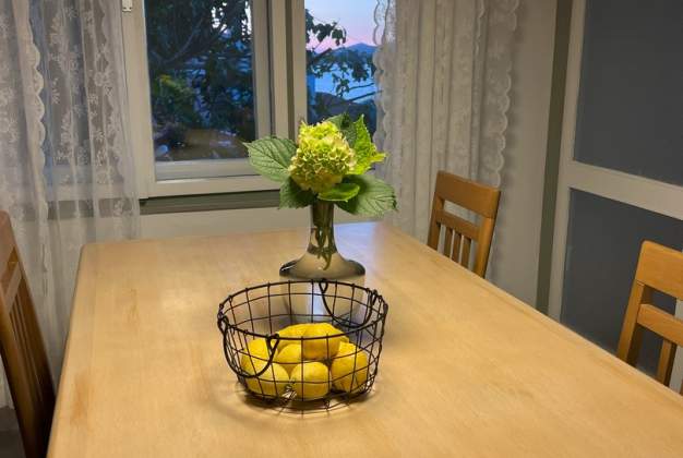 Apartment Agata 1 contemporary design in a beautiful setting for 3 people, Mali Losinj 