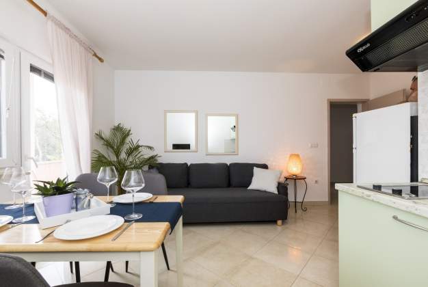 Apartment Vila Čikat 2 -Mali Losinj, Croatia