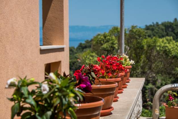 Apartment Anamarija 2, for 4 people on the ground floor, Mali Lošinj