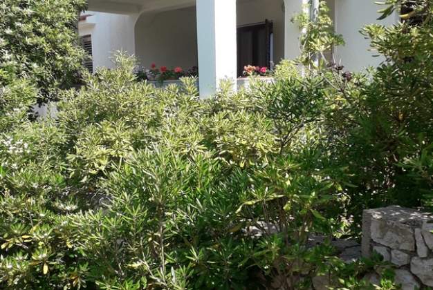 Apartment Vita 3 – Perfect Oasis for 2-3 People, Mali Lošinj