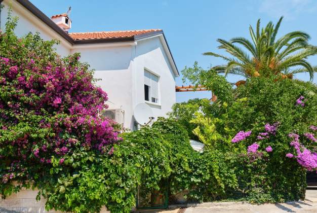 Apartment Antares 2, a warm and attractive place in an excellent location - Mali Lošinj