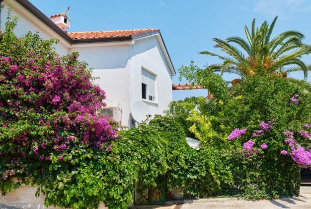 Apartment Antares 3 - warm and discreet ambiance for 6 persons, Mali Lošinj.