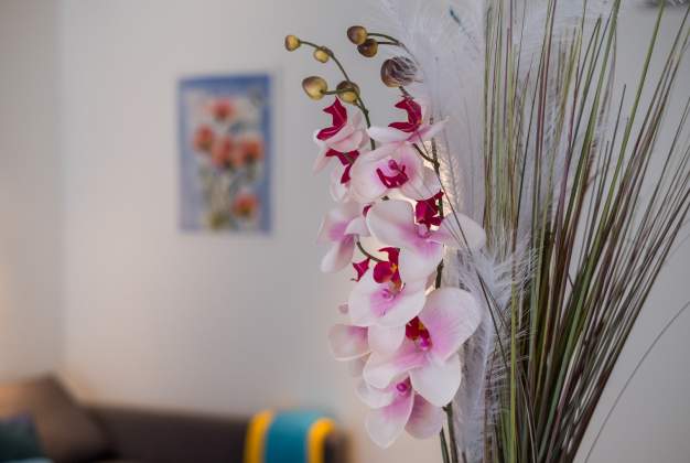 Apartment Apsyrtides beautiful renovated close to Sveti Martin beach for 2 people, Mali Lošinj.