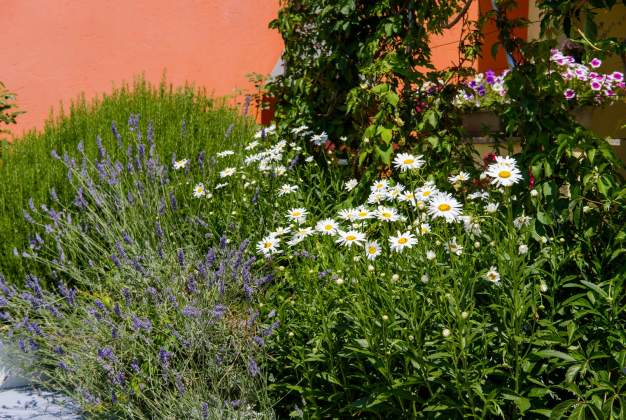 Arty 1 Apartment, 150m from the sea, charming terrace in Artatore, Mali Losinj