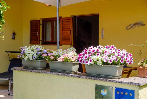 Arty 1 Apartment, 150m from the sea, charming terrace in Artatore, Mali Losinj