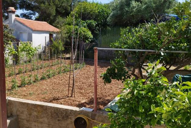 Apartment Diana 1 functional accommodation near the city center Mali Lošinj