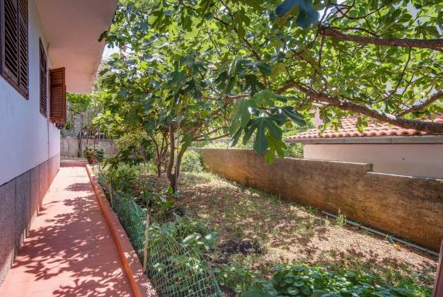 Apartment Bandalo 1 for 4 people in Malin, Mali Lošinj, Croatia