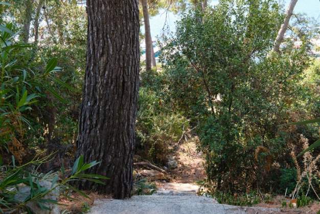 Studio Mirta, surrounded by greenery in Poljana, Mali Lošinj