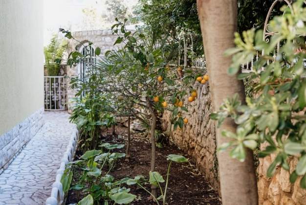 Villa Palma 1 family stay in Zagazine, Mali Lošinj