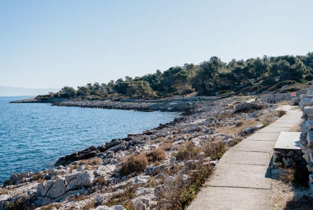 Villa Palma 1 family stay in Zagazine, Mali Lošinj