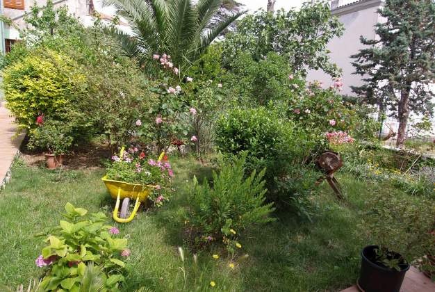 Arsenio 2 - Veli Lošinj