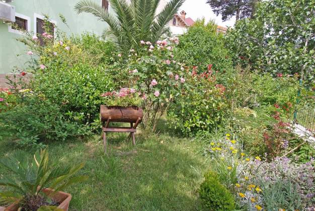 Arsenio 2 - Veli Lošinj