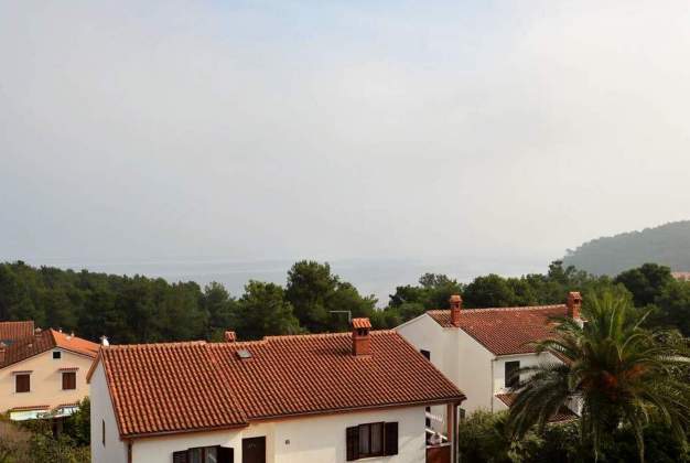 Apartment Blue Ivy 1, Stay for 3 near the beach, Mali Losinj