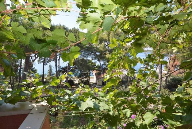 Apartman Davorka 1, za 6 osoba na Poljani - Mali Lošinj, Hrvatska